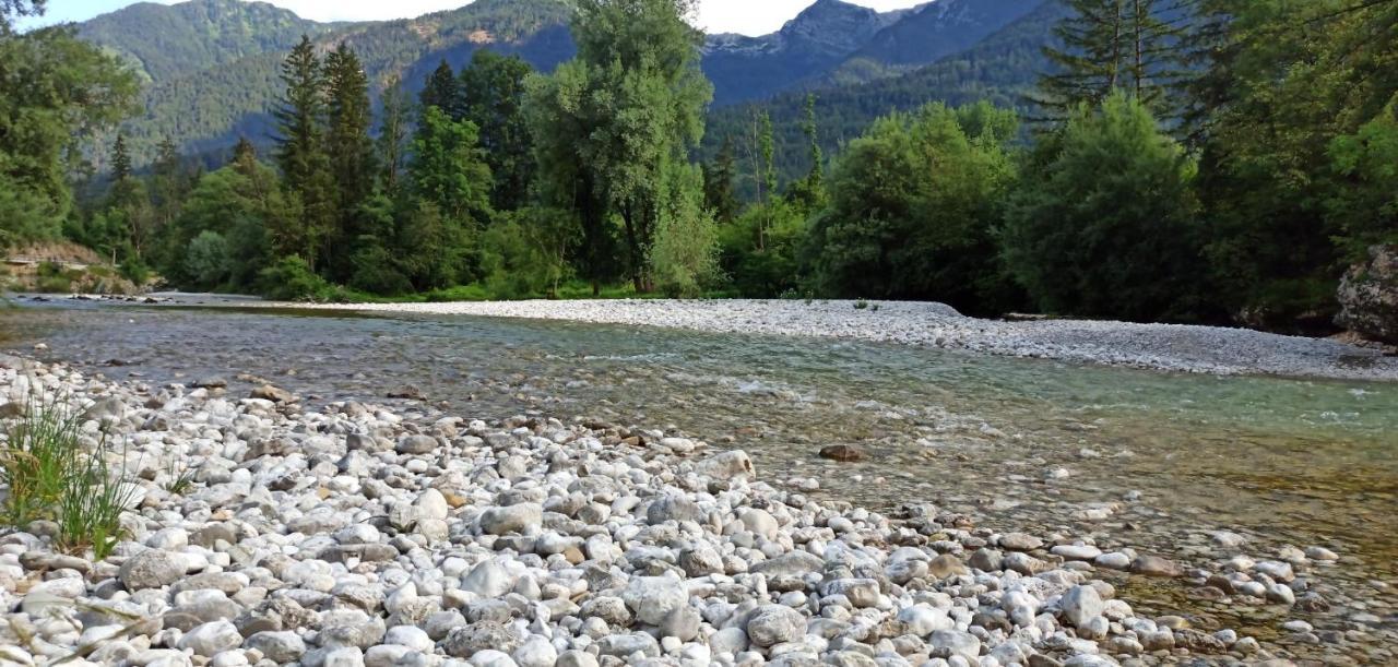 Apartments Irena Bohinj Luaran gambar