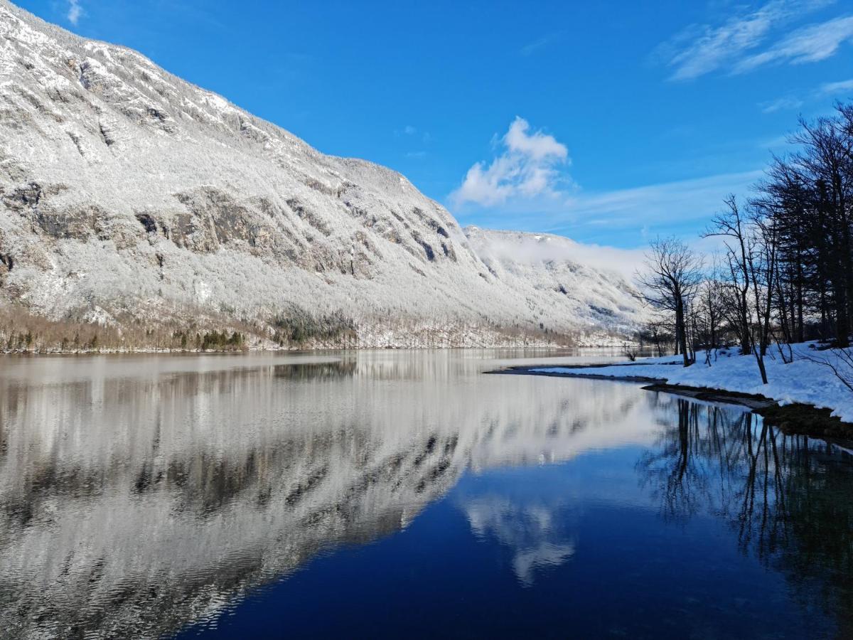 Apartments Irena Bohinj Luaran gambar